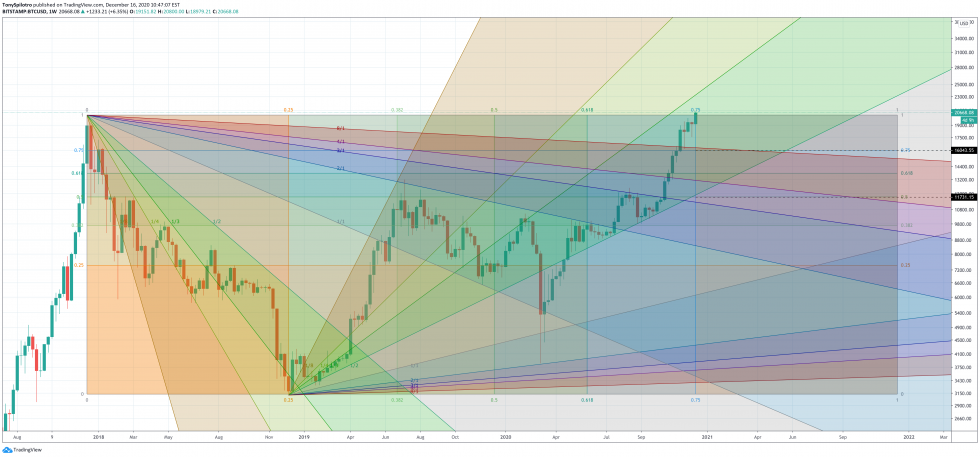 fan de bitcoin gann