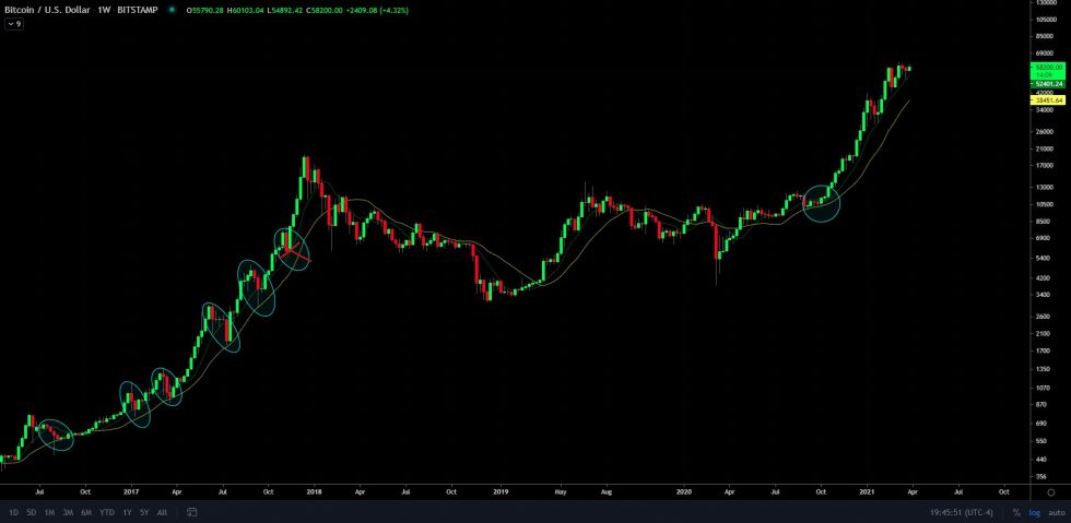 Bitcoin n'a pas perdu le support 9-WMA tout au long de 2020/2021.  Source: BTCUSD sur TradingView.com